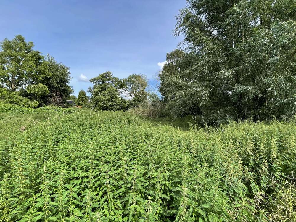 Thumbnail-Haus zum Kaufen in Bösdorf OT Kleinmeinsdorf 199.000,00 € 42 m²