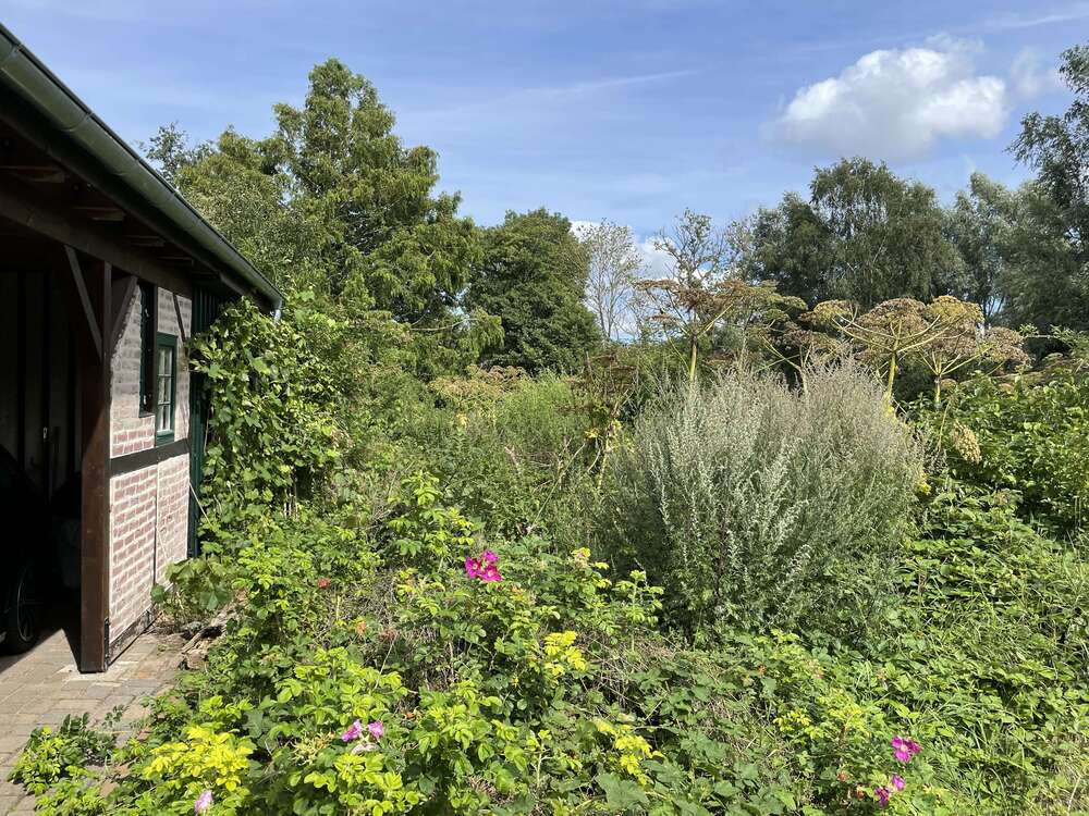 Thumbnail-Haus zum Kaufen in Bösdorf OT Kleinmeinsdorf 274.500,00 € 51 m²