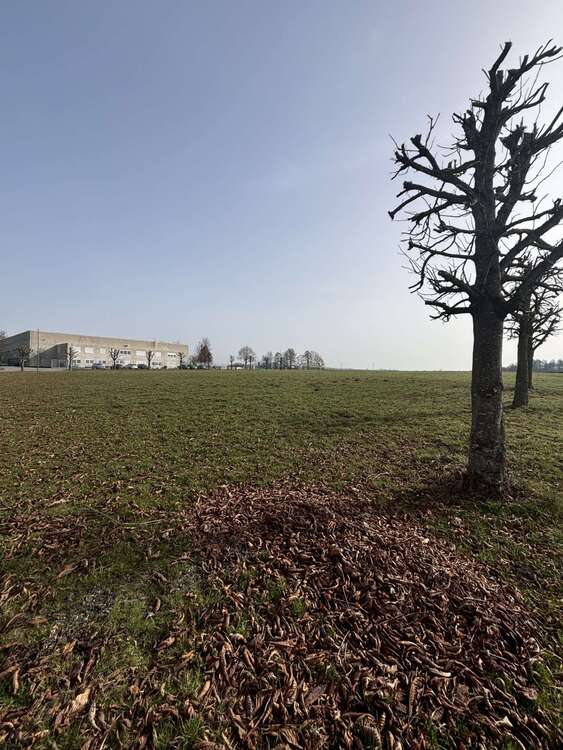 Thumbnail-Grundstück in Bad Schussenried 850.000,00 € 7756 m²