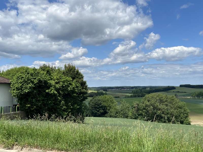 Thumbnail-Haus zum Kaufen in Kirchdorf 645.000,00 € 360 m²