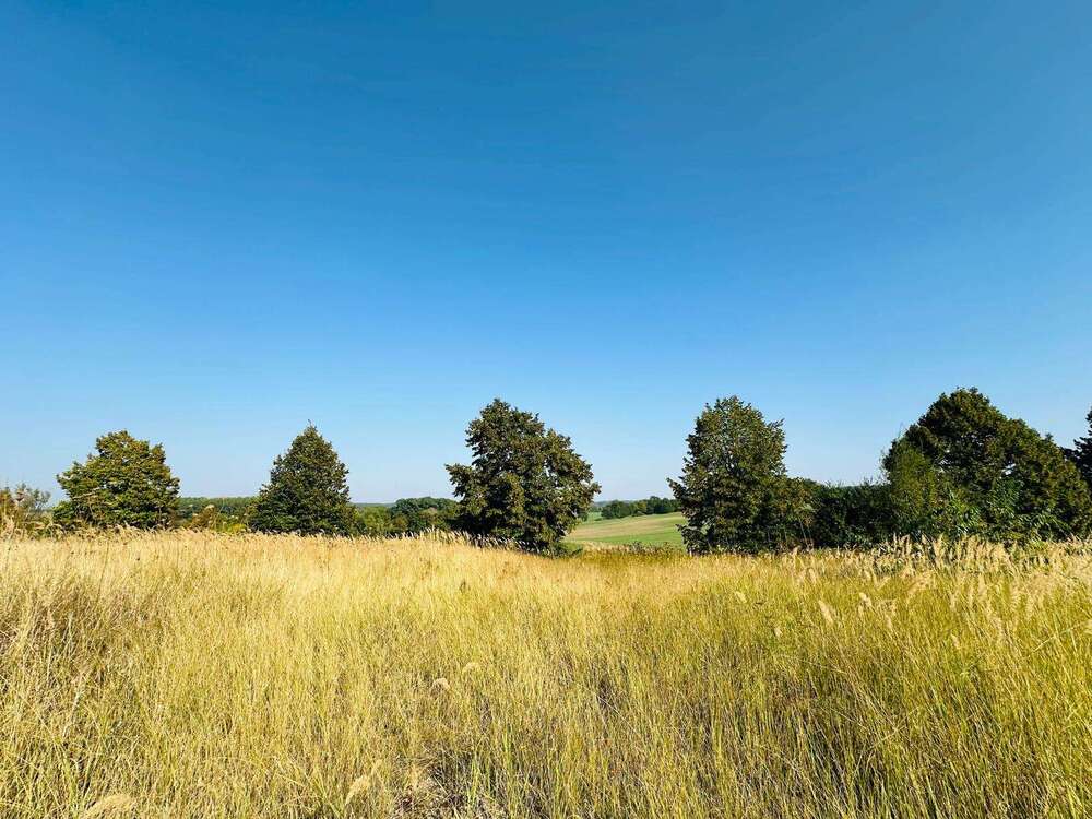 Thumbnail-Grundstück zu verkaufen in Brüel 98.000,00 € 1037 m²