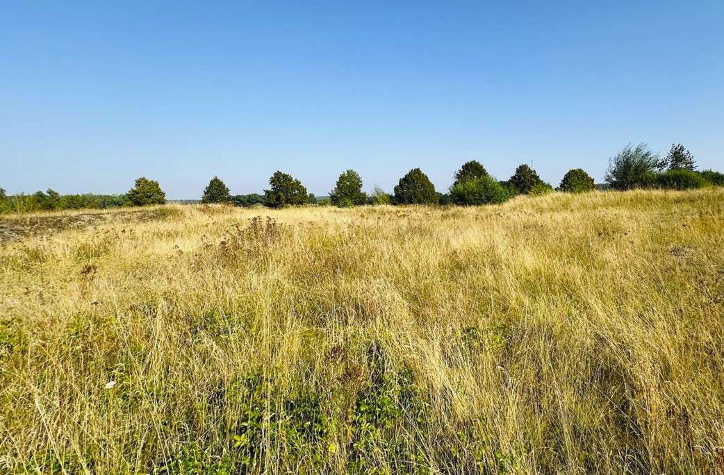 Thumbnail-Grundstück zu verkaufen in Brüel 98.000,00 € 1005 m²