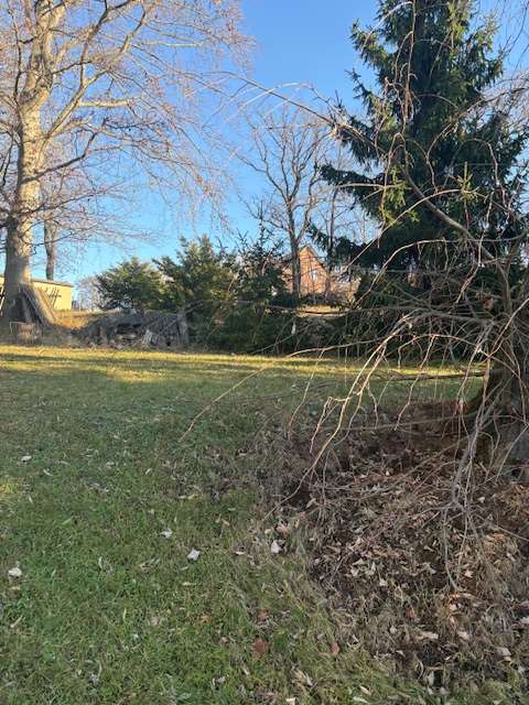 Thumbnail-Grundstück zu verkaufen in Werdau 89.000,00 € 1201 m²