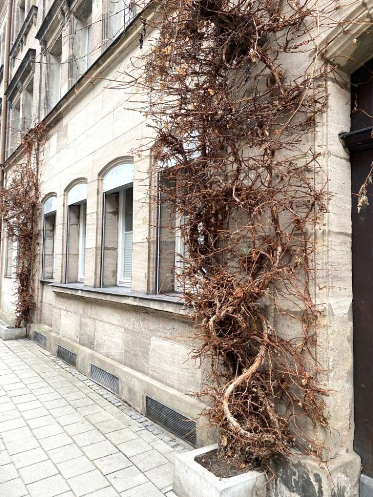 Thumbnail-Wohnung zum Kaufen in Fürth 269.000,00 € 79 m²