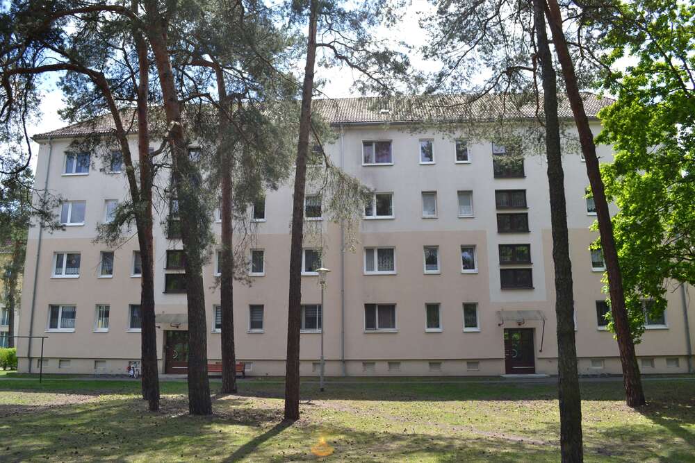 Thumbnail-Wohnung zum Mieten in Spremberg 262,76 € 48.66 m²