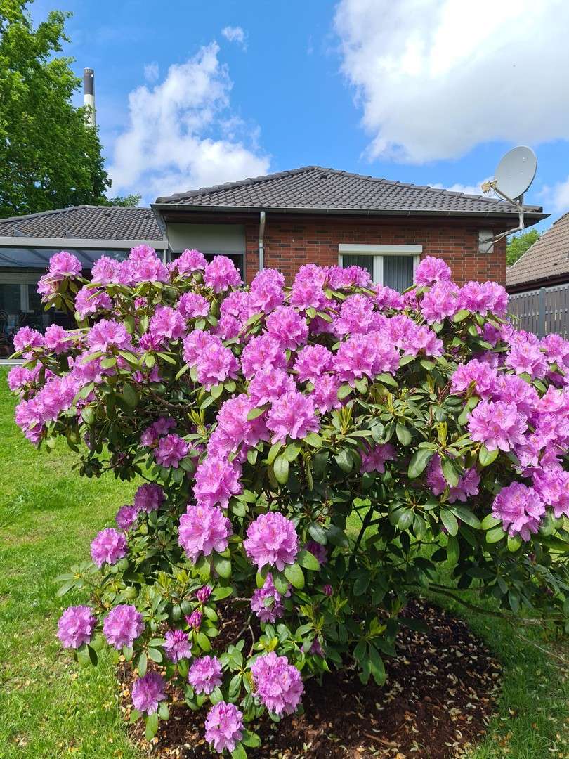 Thumbnail-Haus zum Kaufen in Hemmingstedt 359.000,00 € 102 m²