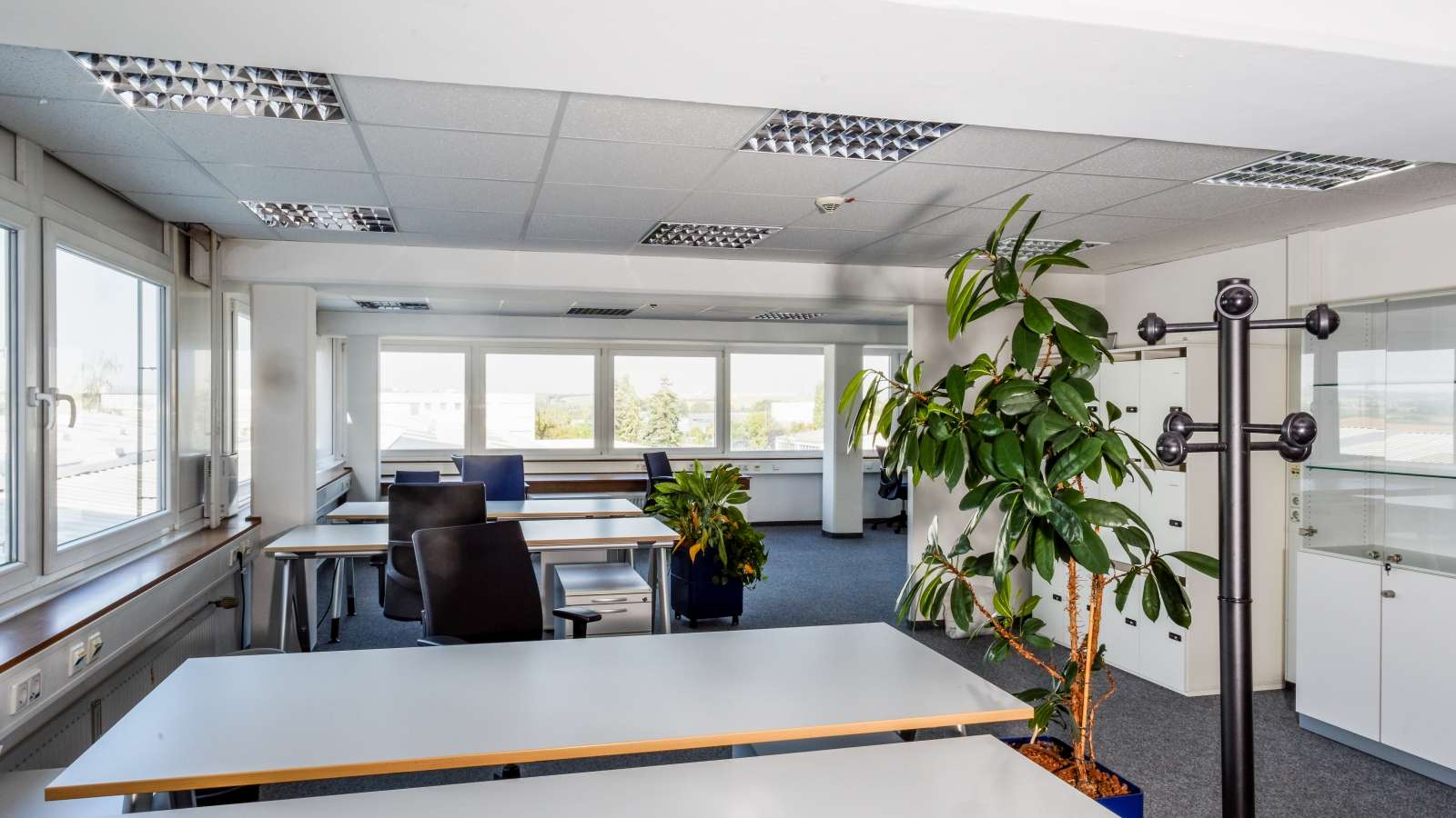 Thumbnail-Büro in Schwieberdingen 1.595,00 € 225 m²