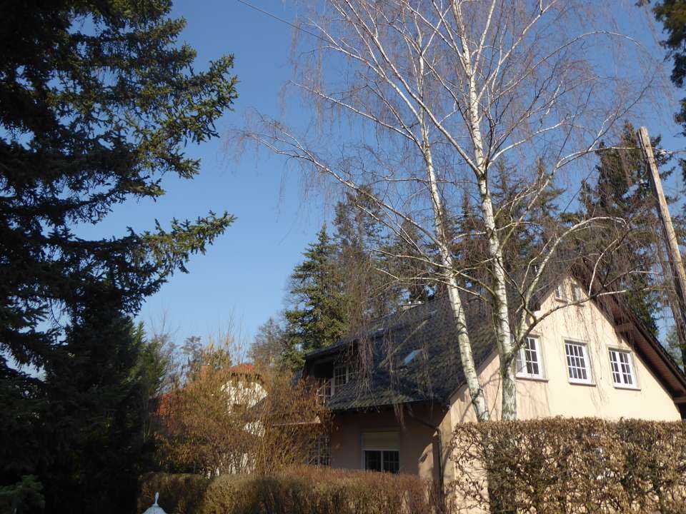 Thumbnail-Wohnung zum Mieten in Berlin 1.700,00 € 110 m²