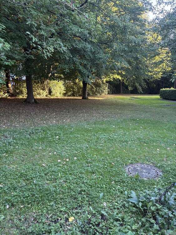 Thumbnail-Haus zum Kaufen in Trier 279.500,00 € 78 m²