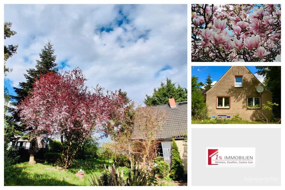 Thumbnail-Haus zum Kaufen in Gribow 209.000,00 € 204.64 m²