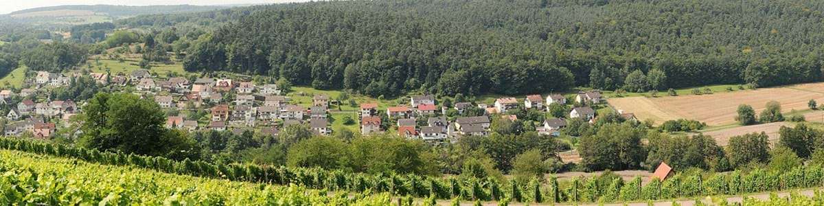 Thumbnail-Wohnung zum Mieten in Elsenfeld 1.460,00 € 108 m²