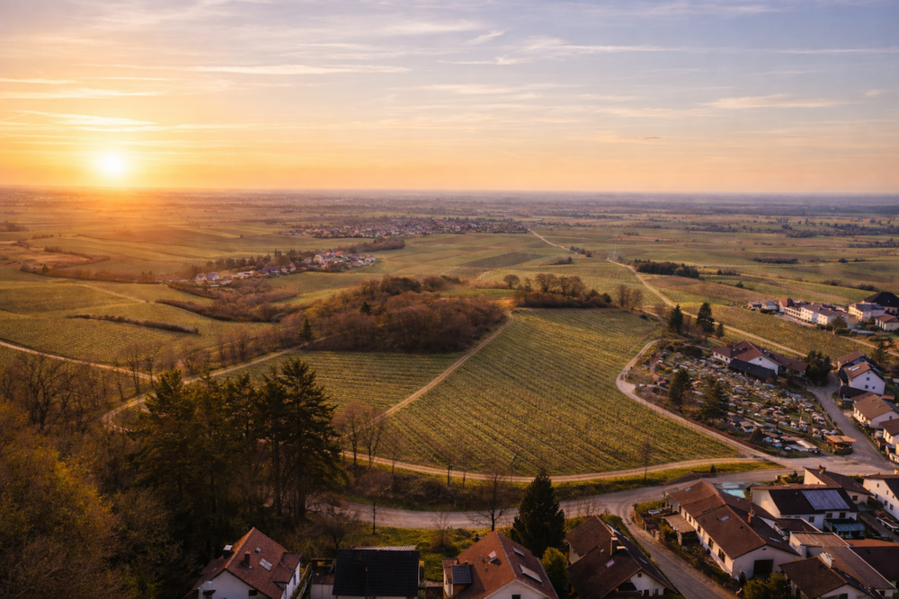 Thumbnail-Grundstück zu verkaufen in Burrweiler 419.000,00 € 701 m²
