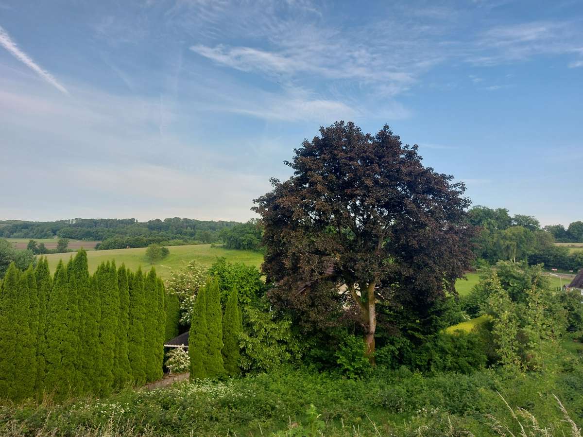 Thumbnail-Grundstück zu verkaufen in Reichshof 79.990,00 € 754 m²