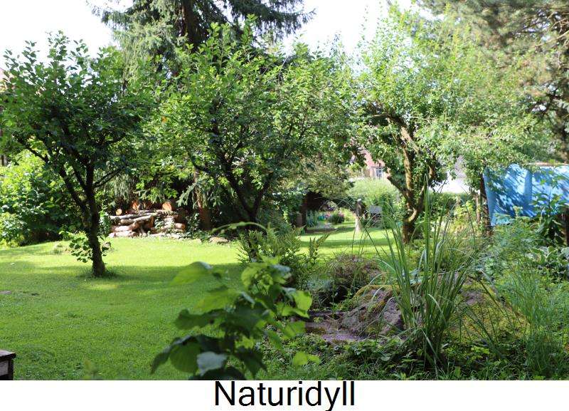 Thumbnail-Haus zum Kaufen in Plauen 295.000,00 € 171.65 m²