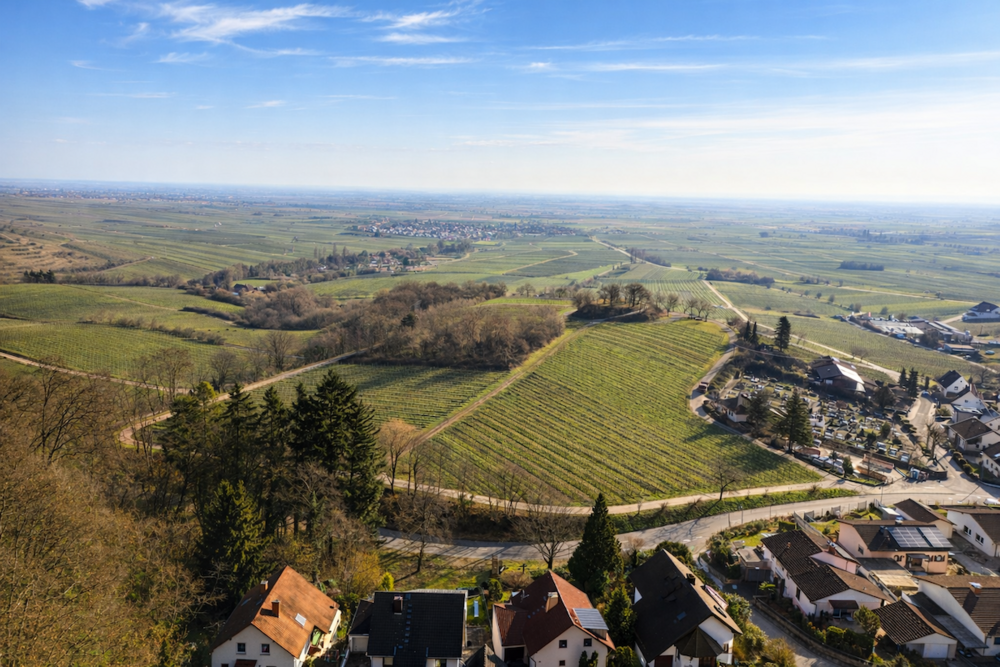 Thumbnail-Grundstück zu verkaufen in Burrweiler 419.000,00 € 701 m²