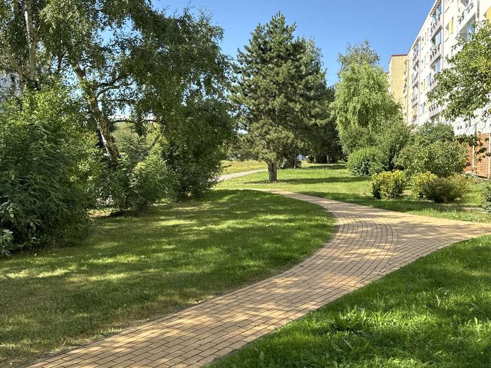 Thumbnail-Wohnung zum Kaufen in Rostock 169.500,00 € 67 m²