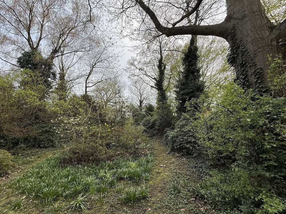 Thumbnail-Grundstück zu verkaufen in Duisburg 495.000,00 € 1140 m²