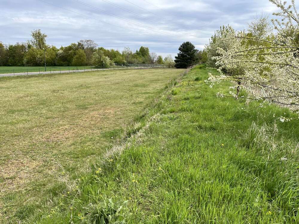 Thumbnail-Grundstück in Beeskow 195.484,00 € 6822 m²