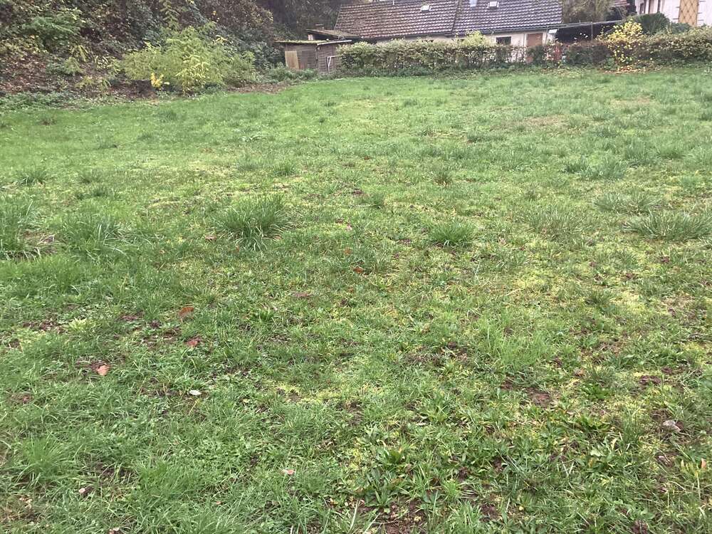 Thumbnail-Grundstück zu verkaufen in Germersheim 370.200,00 € 617 m²