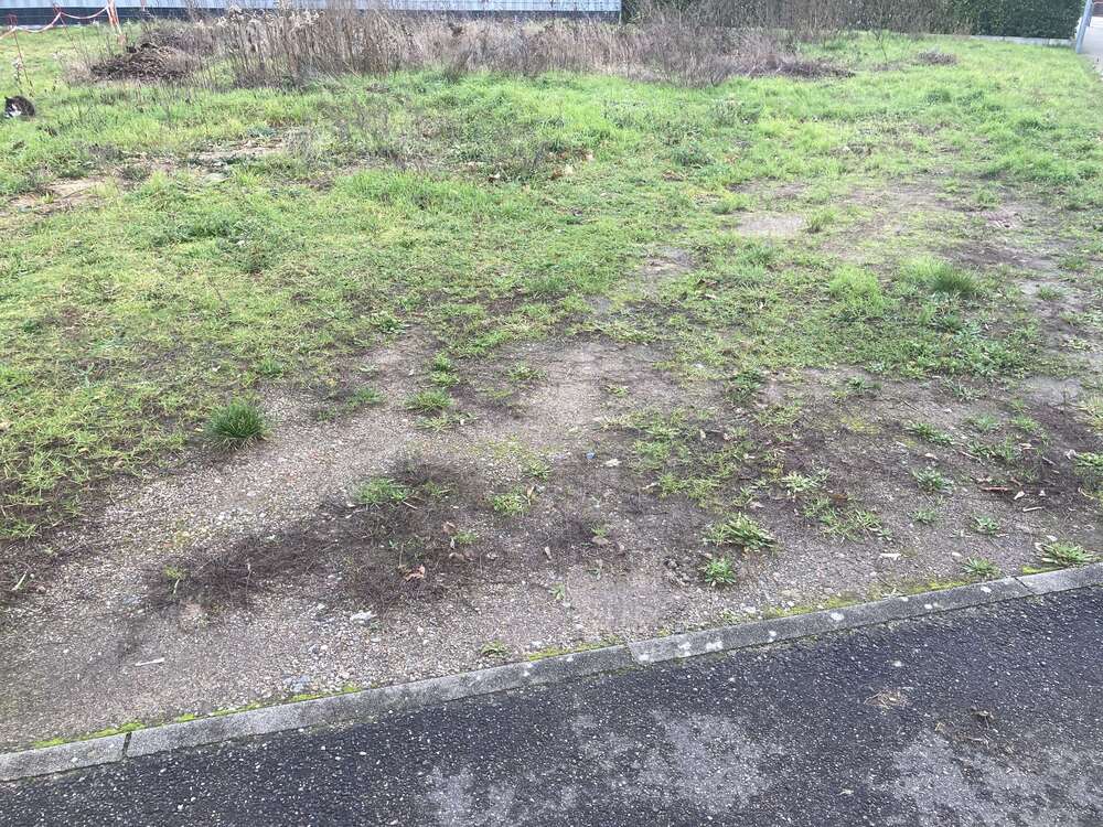 Thumbnail-Grundstück zu verkaufen in Germersheim 370.200,00 € 617 m²