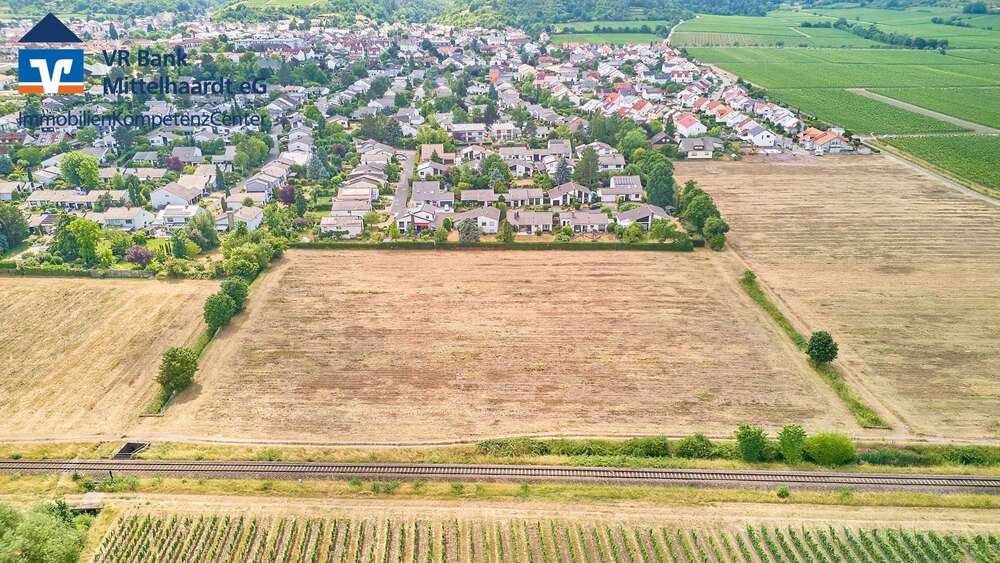 Thumbnail-Grundstück zu verkaufen in Wachenheim 349.965,00 € 505 m²