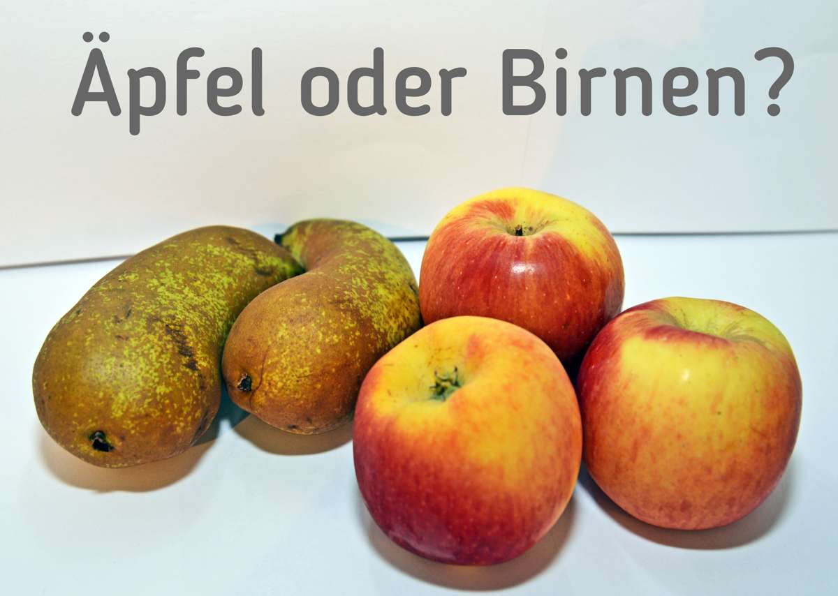 Thumbnail-Haus zum Kaufen in Müncheberg 179.500,00 € 109 m²