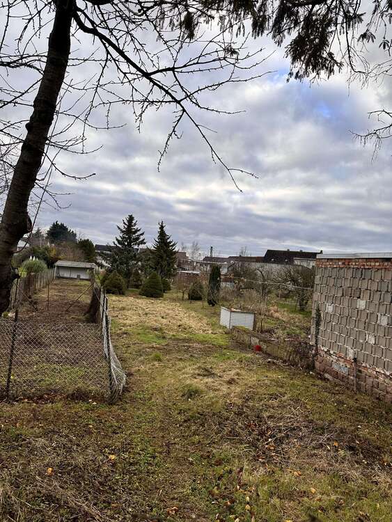 Thumbnail-Grundstück zu verkaufen in Osternienburger Land 15.000,00 € 581 m²