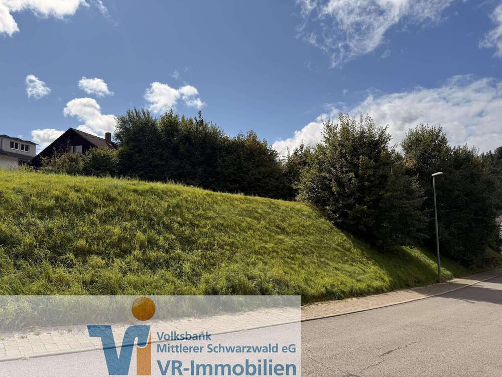 Thumbnail-Grundstück zu verkaufen in Schiltach 79.000,00 € 466 m²