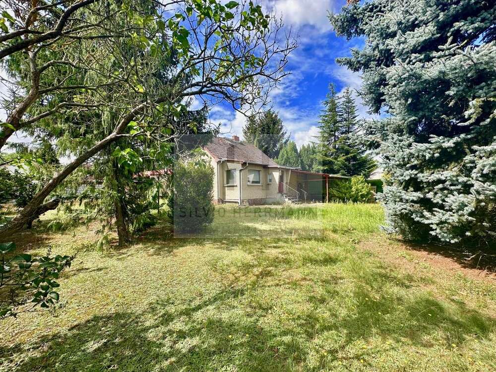 Thumbnail-Haus zum Kaufen in Wildau 319.000,00 € 90 m²