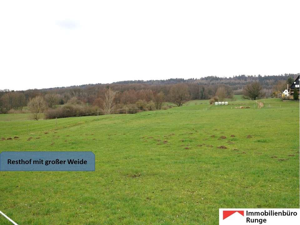 Thumbnail-Haus zum Kaufen in Auetal 465.000,00 € 350 m²