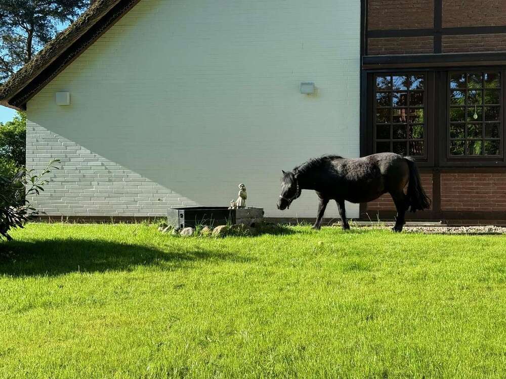 Thumbnail-Haus zum Kaufen in Winsen Luhdorf 1.300.000,00 € 340 m²