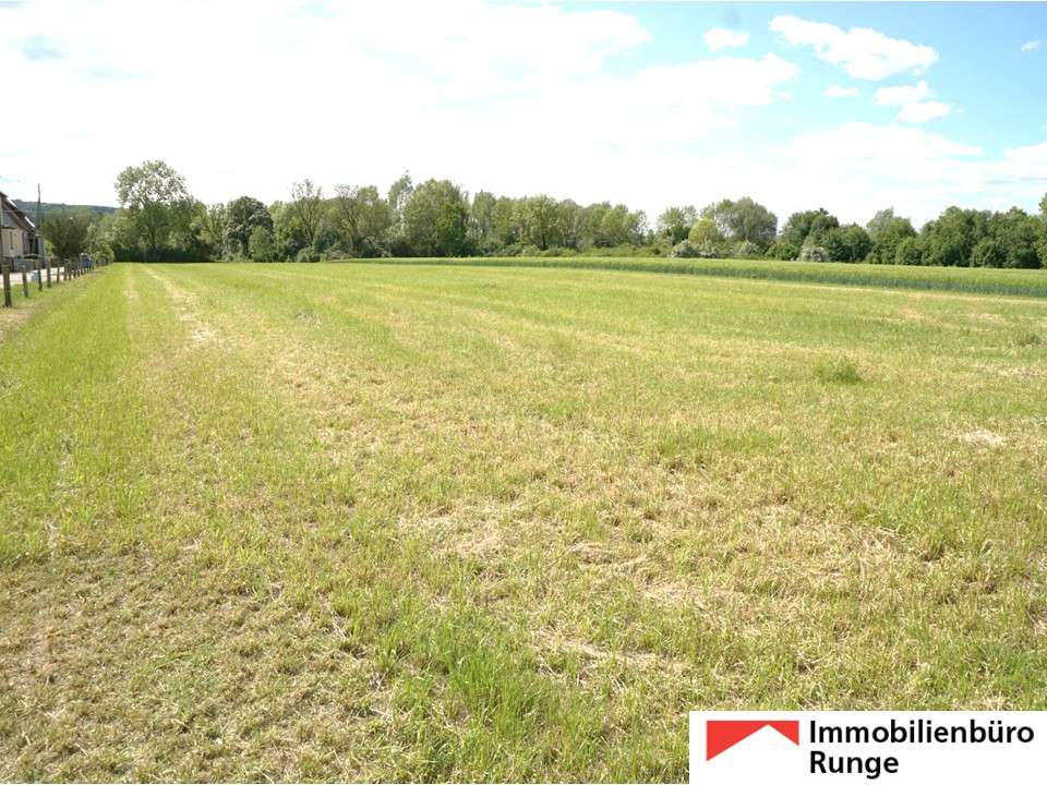 Thumbnail-Haus zum Kaufen in Rinteln 375.000,00 € 200 m²