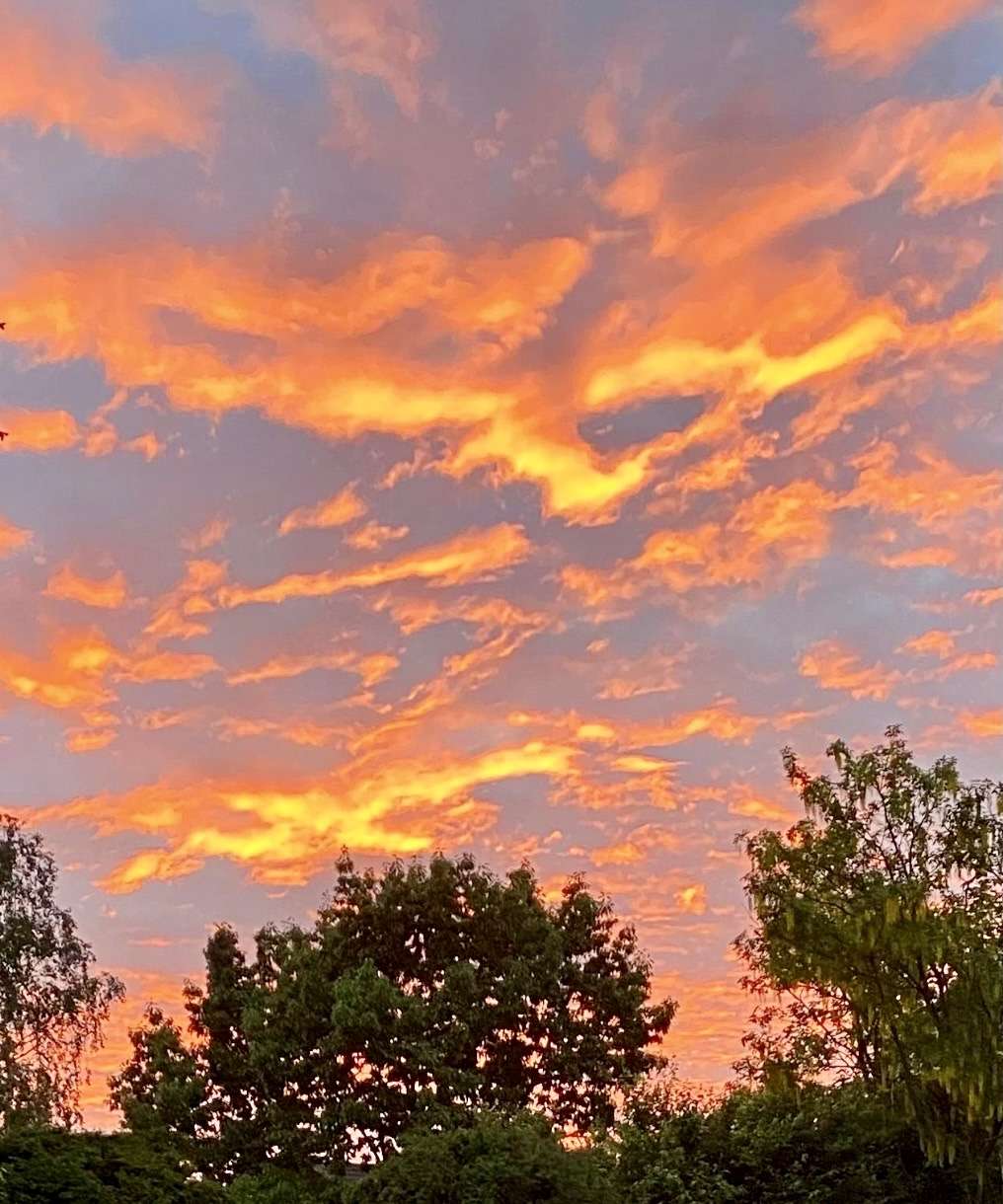 Thumbnail-Haus zum Kaufen in Freigericht 279.000,00 € 119 m²