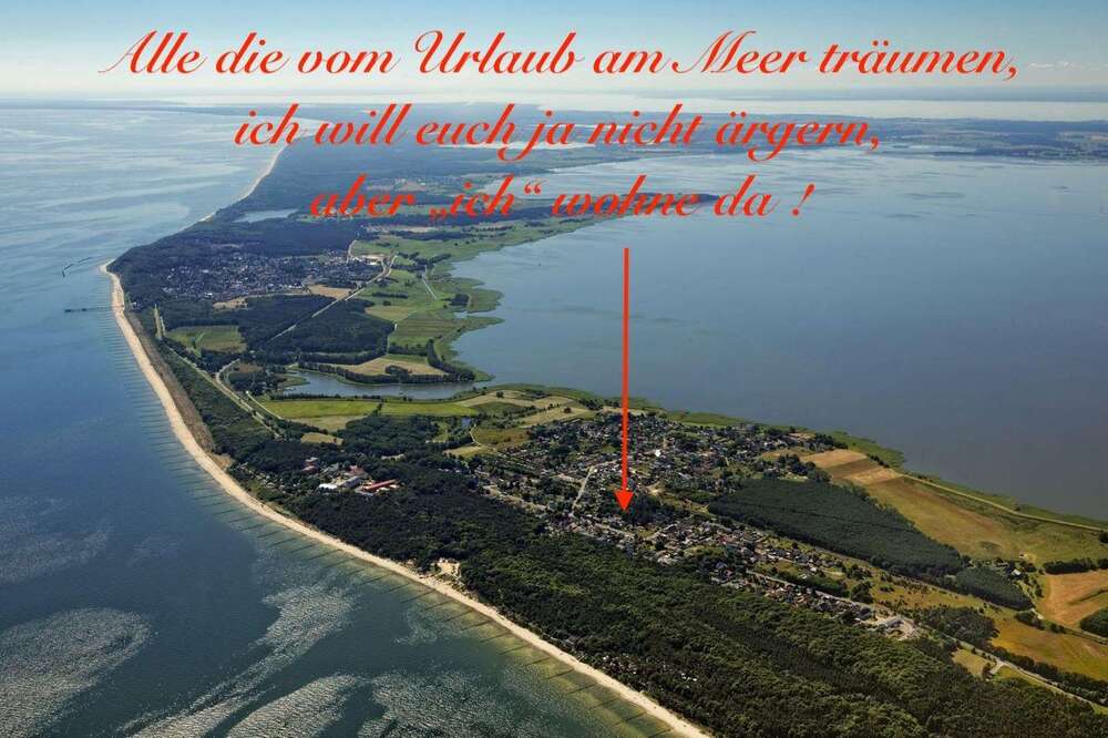 Thumbnail-Haus zum Kaufen in Zempin 650.000,00 € 150 m²