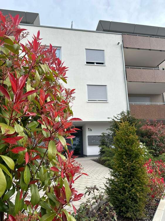 Thumbnail-Wohnung zum Mieten in Kehl 750,00 € 61 m²