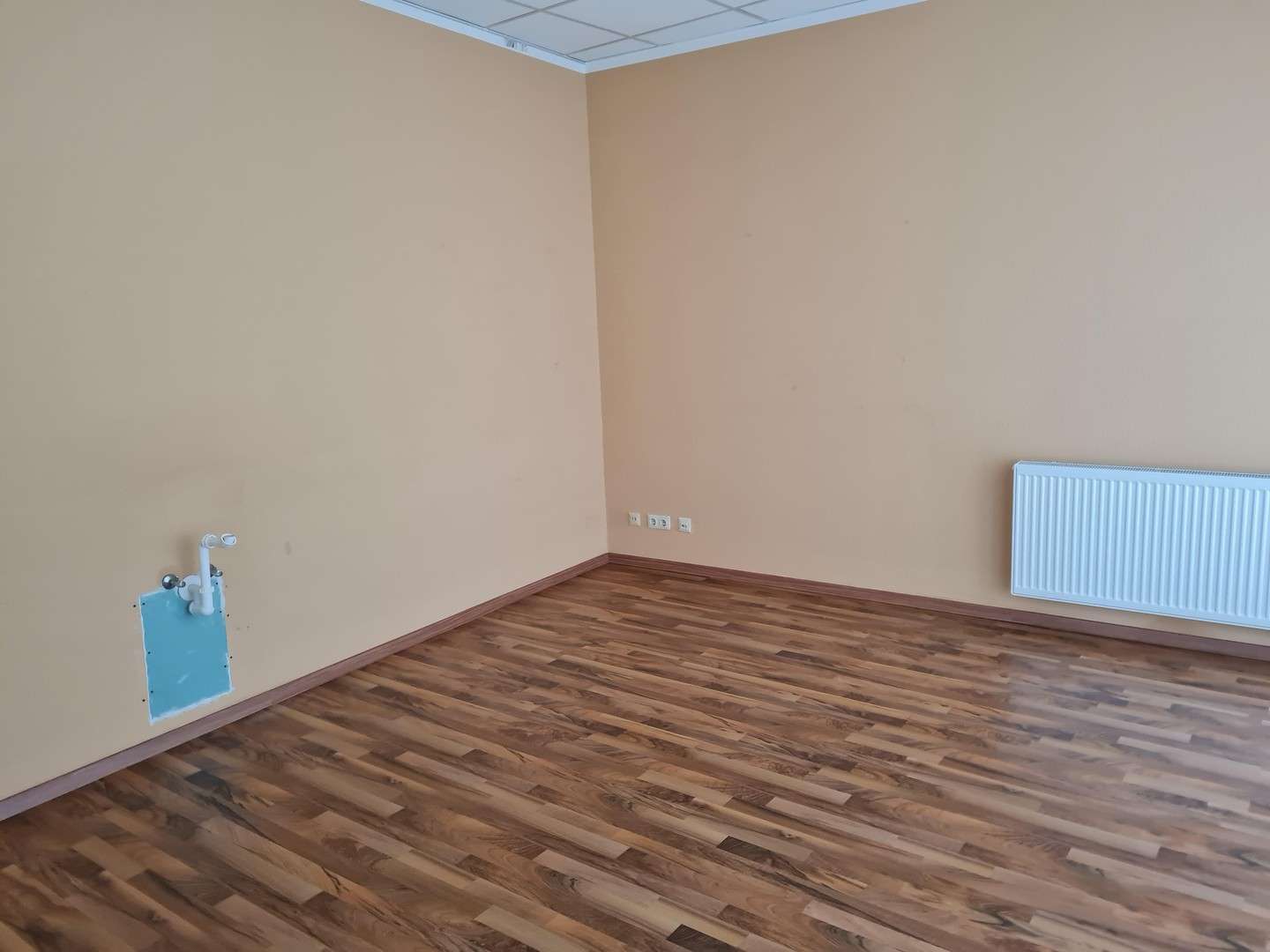Thumbnail-Büro in Wurzen 511,00 € 73 m²