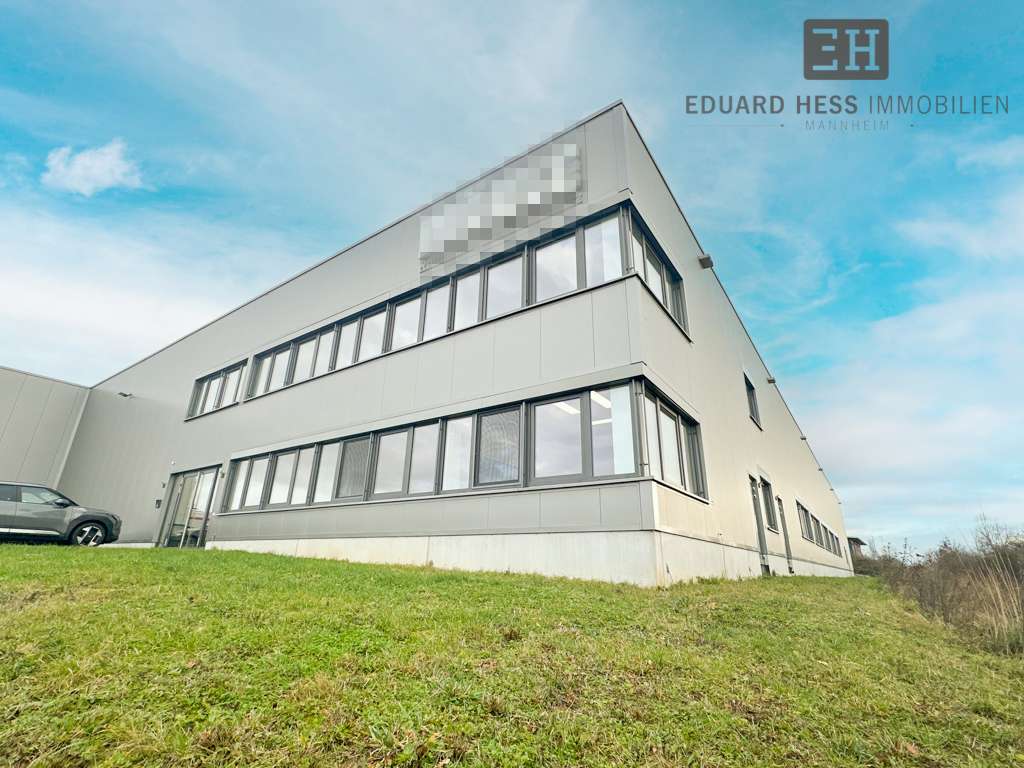 Thumbnail-Büro in Lampertheim 1.500,00 € 138 m²