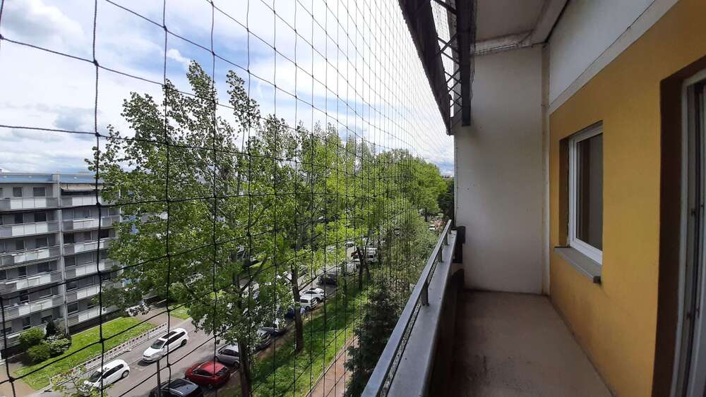 Thumbnail-Wohnung zum Mieten in Dresden 321,75 € 49.5 m²