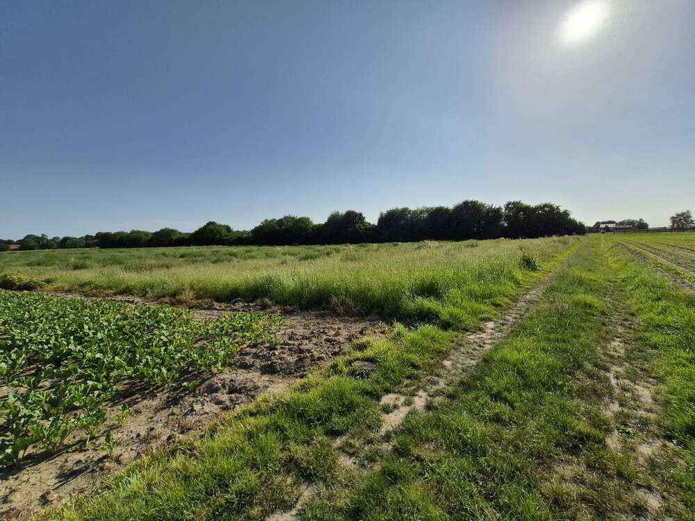 Thumbnail-Grundstück in Mönchengladbach 298.000,00 € 19883 m²