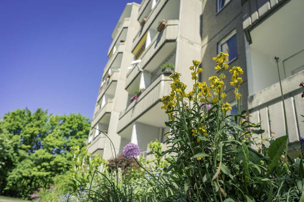 Thumbnail-Wohnung zum Mieten in Chemnitz 275,00 € 54.71 m²