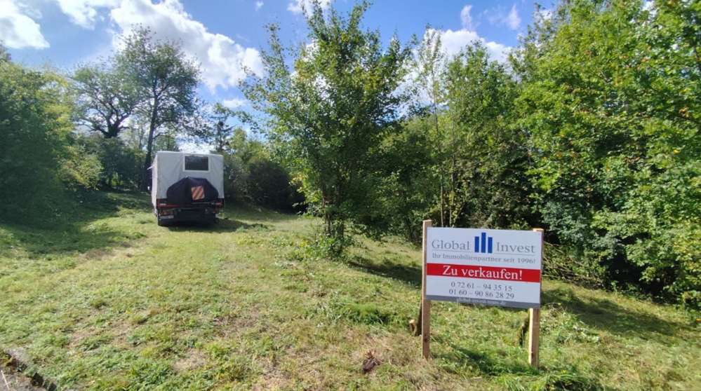 Thumbnail-Grundstück zu verkaufen in Schefflenz Mittelschefflenz 175.000,00 € 2087 m²