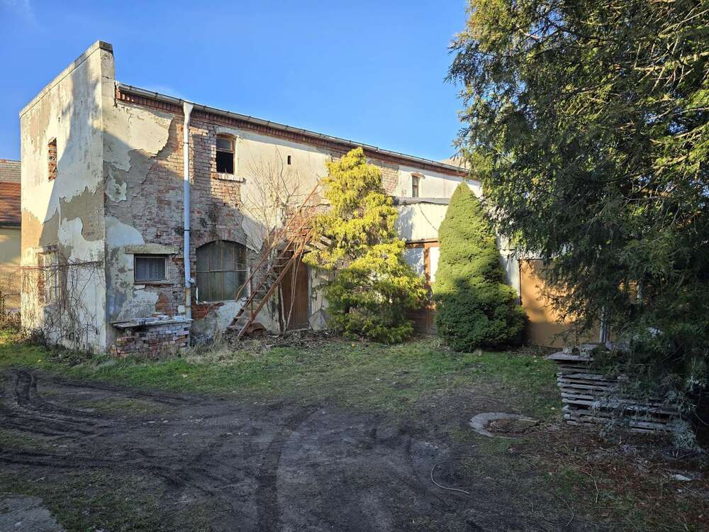 Thumbnail-Grundstück zu verkaufen in Dresden 135.000,00 € 413 m²