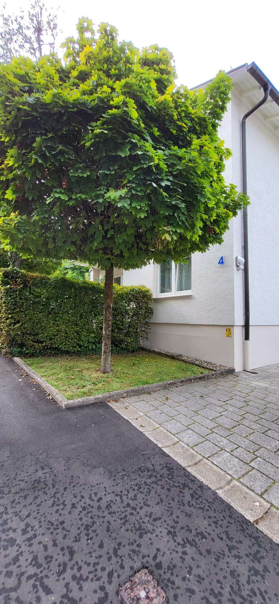 Thumbnail-Wohnung zum Mieten in Baden-Baden 580,00 € 31.59 m²