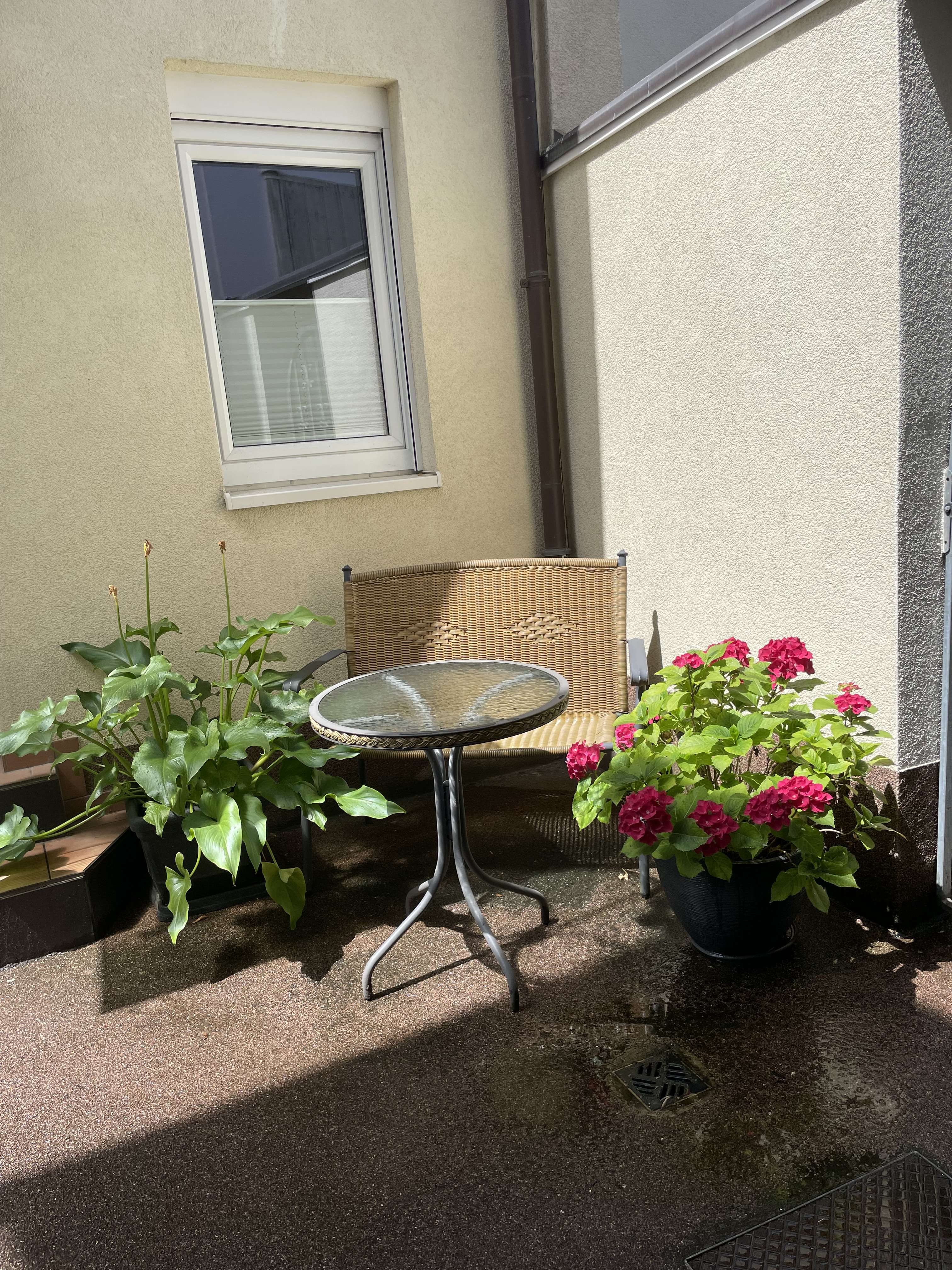 Thumbnail-Wohnung zum Mieten in Heidelberg 750,00 € 41 m²