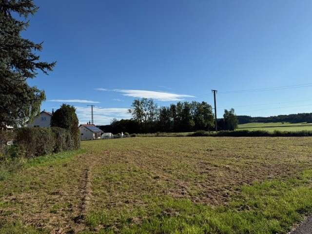 Thumbnail-Grundstück zu verkaufen in Aichstetten 285.000,00 € 2091 m²