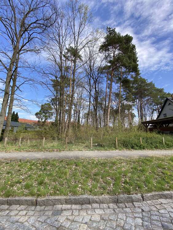 Thumbnail-Grundstück zu verkaufen in Schulzendorf 295.000,00 € 967 m²