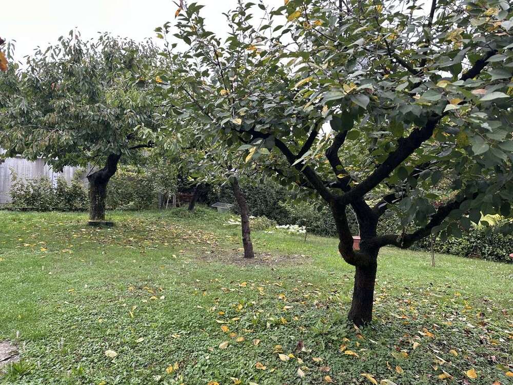 Thumbnail-Haus zum Kaufen in Schwaigern 530.000,00 € 135 m²