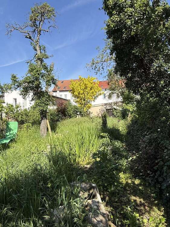 Thumbnail-Wohnung zum Mieten in Apolda 770,00 € 87 m²