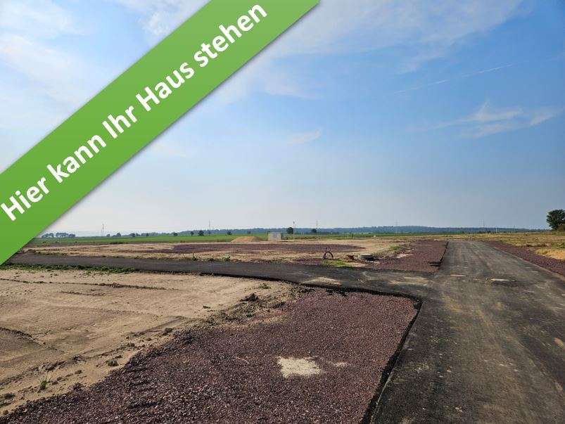 Thumbnail-Haus zum Kaufen in Barmke 376.290,00 € 130 m²