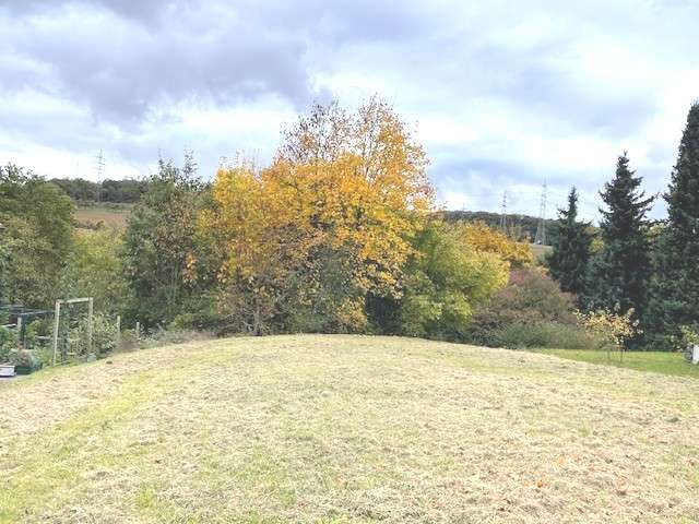 Thumbnail-Grundstück zu verkaufen in Eppstein 329.500,00 € 555 m²